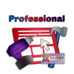 Κατασκευή ιστοσελίδας σε Joomla - Professional Plan