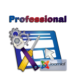 Υποστήριξη Website σε Joomla - Professional Plan