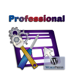 Website Support in Wordpress - Professional Plan